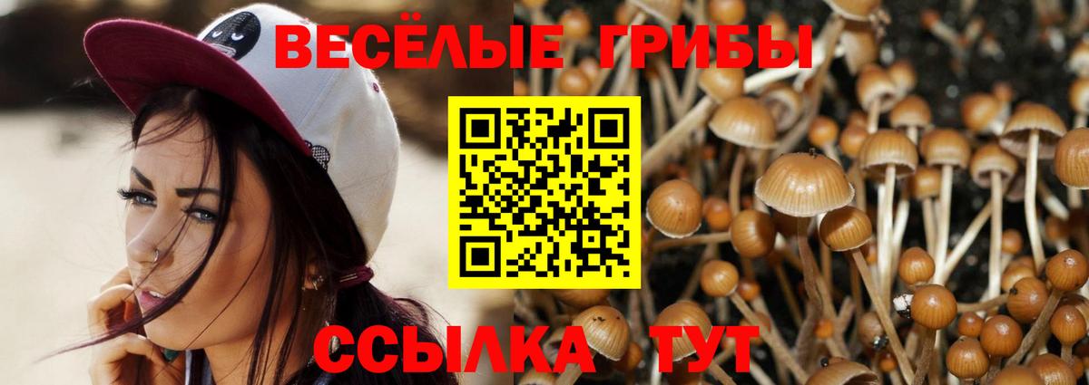 Галлюциногенные грибы MAGIC MUSHROOMS Елабуга