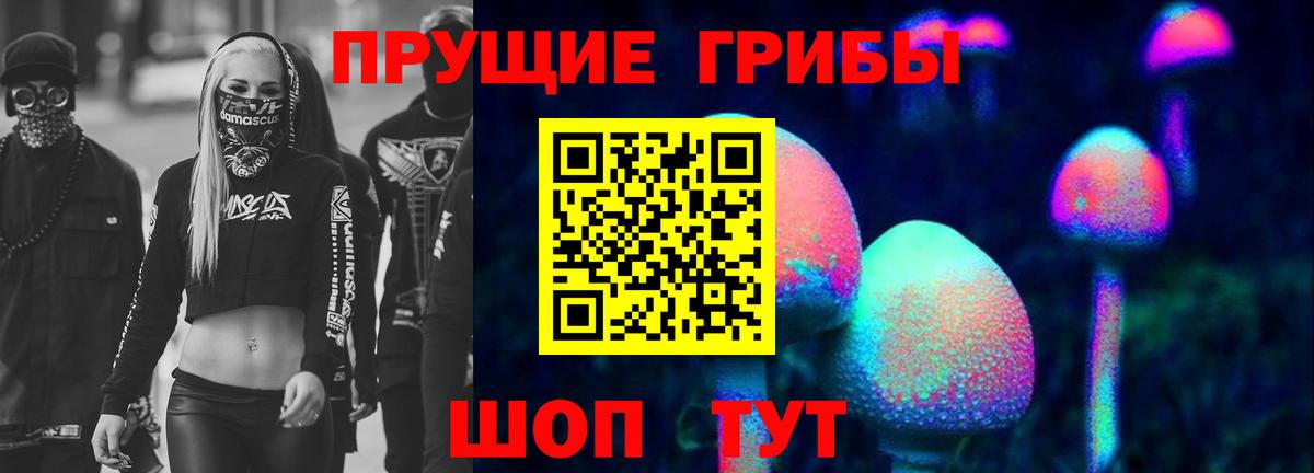 Галлюциногенные грибы Psilocybine cubensis  Галлюциногенные грибы Psilocybe  Вход с VPN  Елабуга 